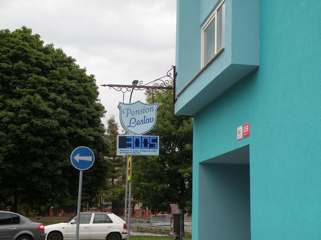Penzion- Leslav Τσέσκε Μπουντεγιόβιτσε Εξωτερικό φωτογραφία