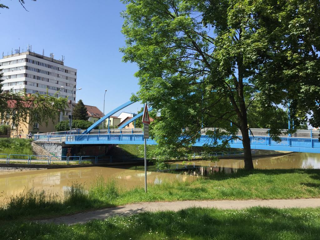 Penzion- Leslav Τσέσκε Μπουντεγιόβιτσε Εξωτερικό φωτογραφία