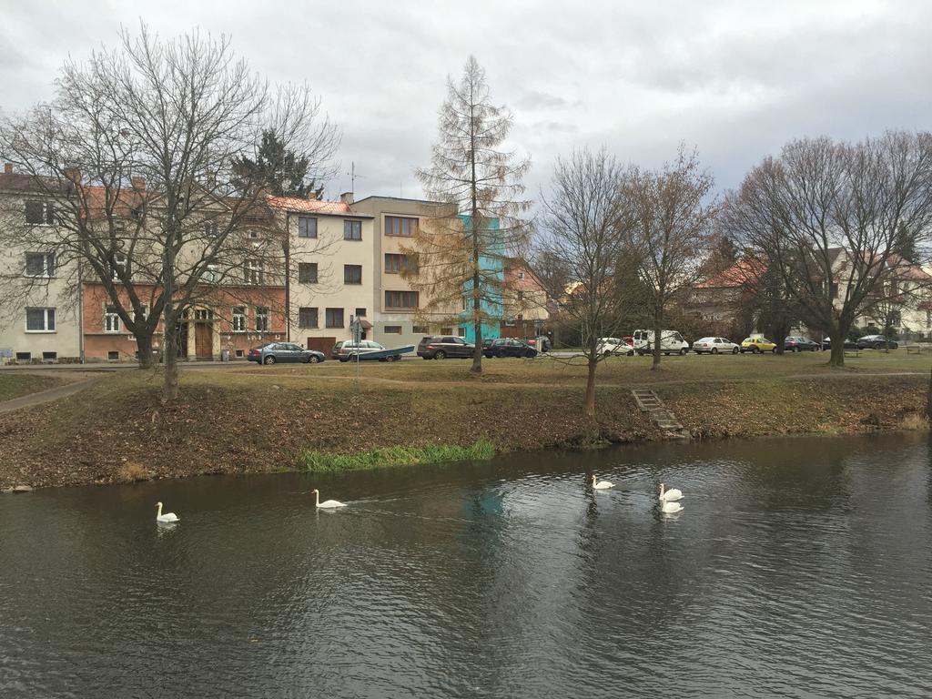 Penzion- Leslav Τσέσκε Μπουντεγιόβιτσε Εξωτερικό φωτογραφία